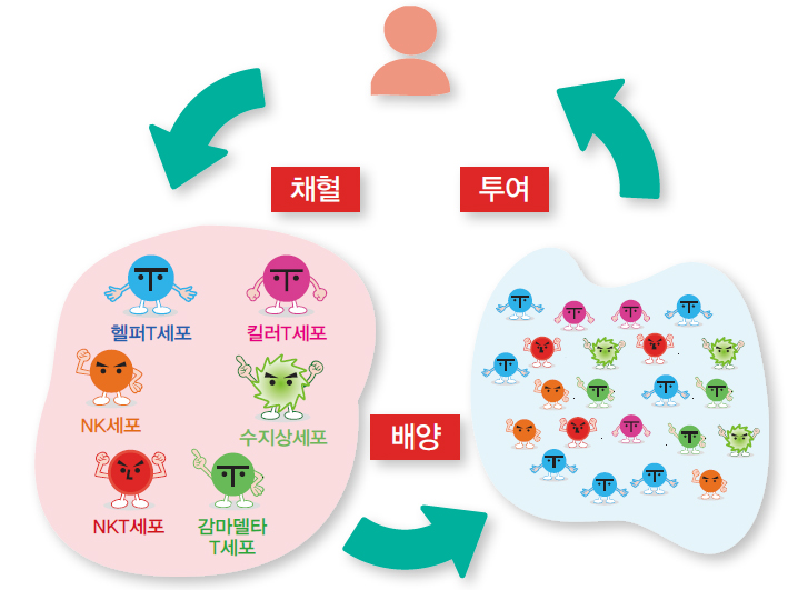 국소 신보강 면역요법은 가능성을 보여줍니다