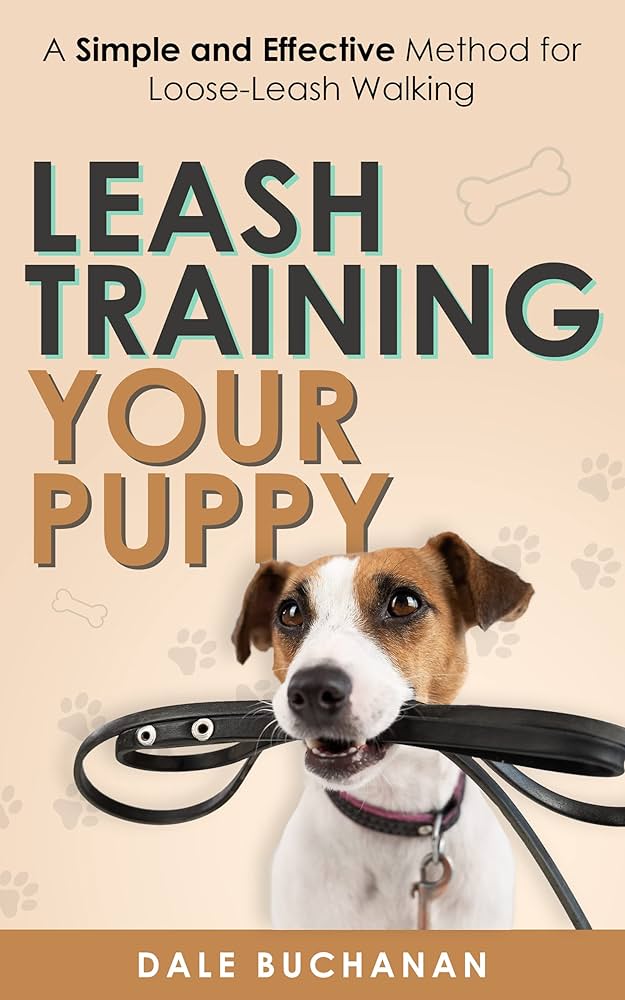 강아지 리드 훈련: 효과적인 방법 (Puppy Lead Training: Effective Methods)