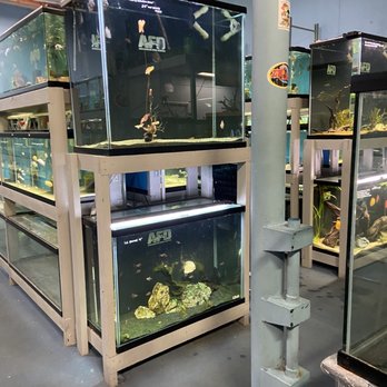 아쿠아리움 어항 depot 리뷰 모음
(Aquarium fish depot reviews collection)