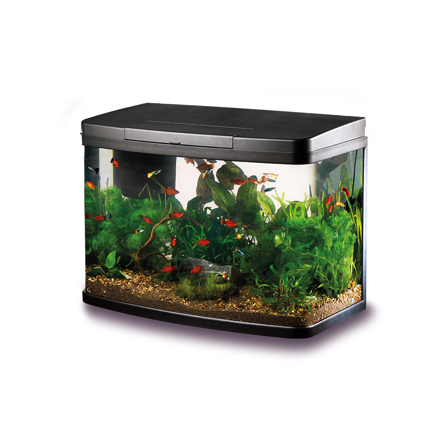 Love Fish Panorama Aquarium Black 40L