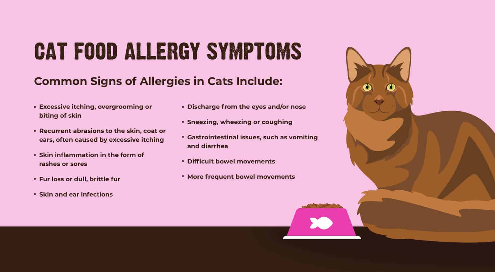 고양이 알레르기 계란 증상과 원인
(Cat allergies chicken eggs symptoms and causes)