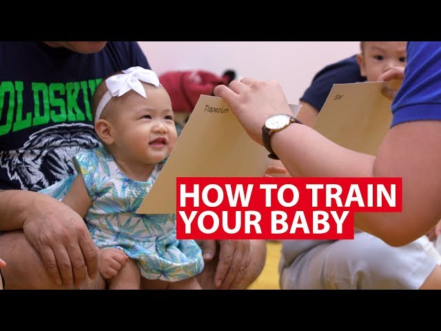 아기 토끼 훈련 방법 배우기 (How to train a baby rabbit)