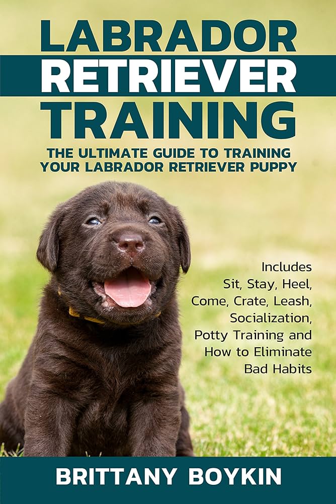 영국 래브라도 강아지 훈련 가이드
(yeongguk raebeurado gangaji hunlyeon gaideu)
(Training a Labrador Puppy UK Guide)