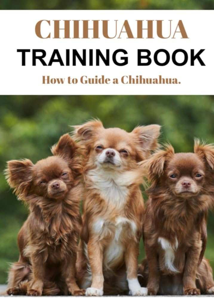 치와와 강아지 훈련 가이드 (Training a Puppy Chihuahua)