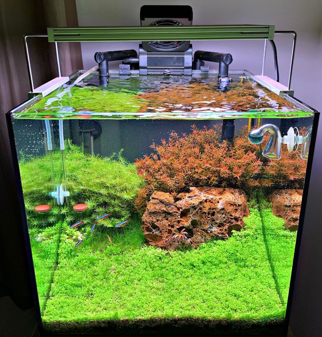 2000만원 이하 어항 추천 (Fish aquarium under 2000)