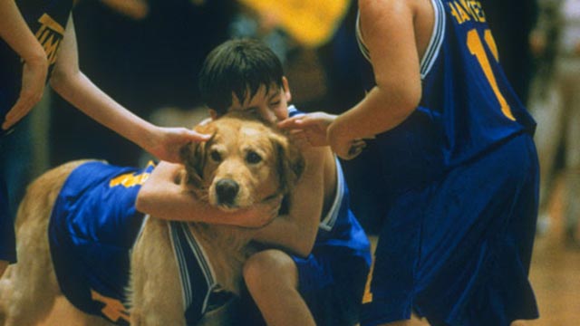 90년대 영화 속 귀여운 강아지들 (Dogs in 90s Movies)