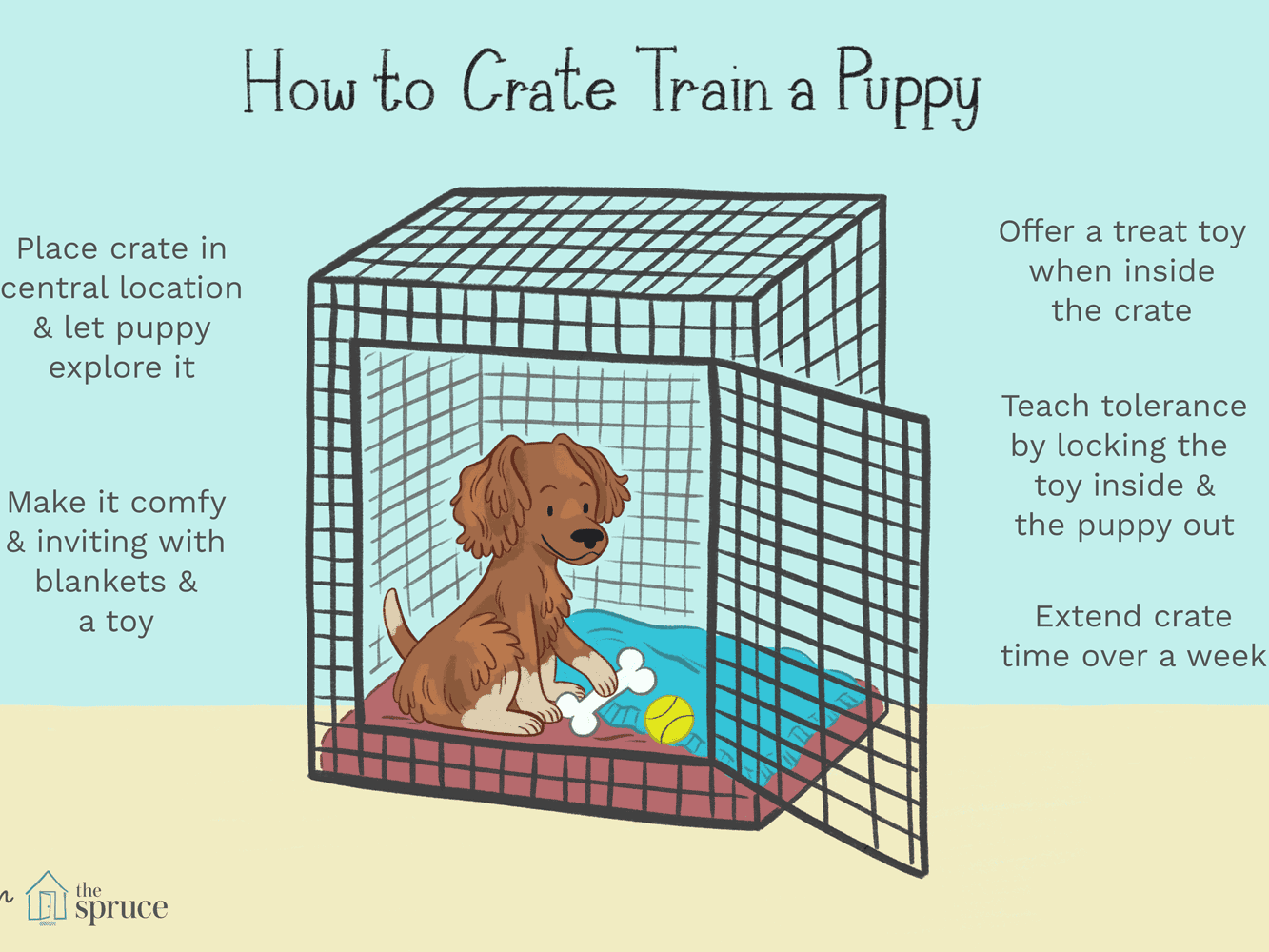 강아지 밤 켄넬 훈련 최고의 방법 (Best way to kennel train a puppy at night)