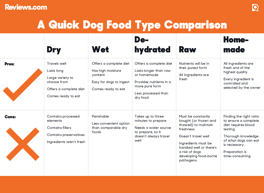 강아지 사료 리뷰: 솔직한 평가와 비교
(Dog food reviews: Honest evaluations and comparisons)