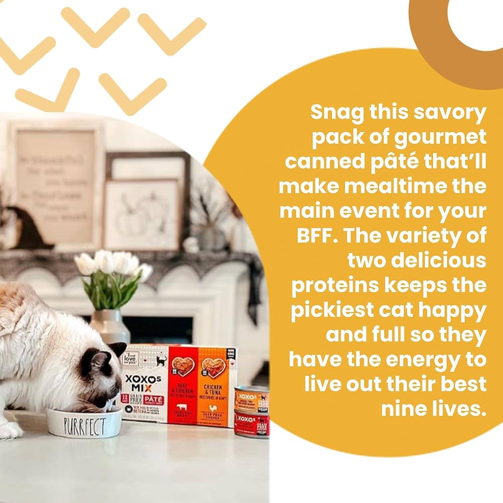 고양이 사료 xoxo 최고의 선택
(Cat food xoxo best choice)