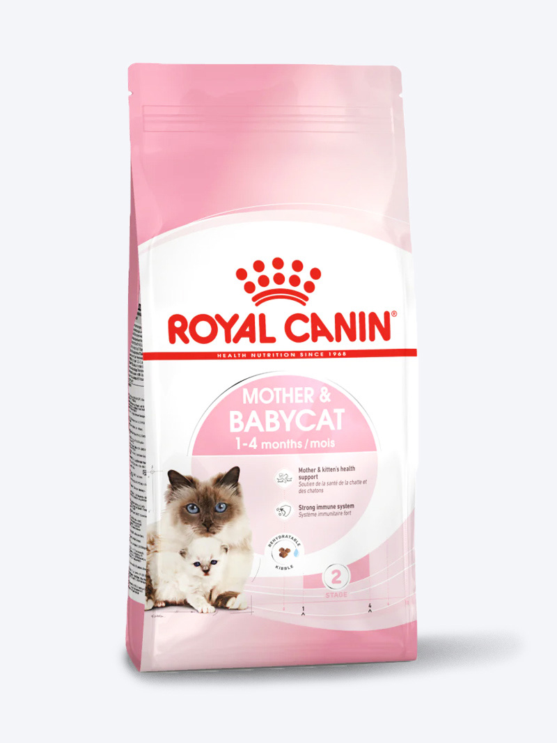 로얄캐닌 인도어 사료 고양이 집사 추천
(Royal Canin Indoor Cat Food Recommended by Cat Owners)