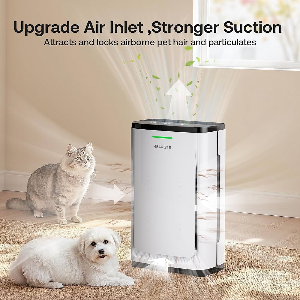 반려동물 알레르기 공기청정기
(Companion animal allergy air purifier)