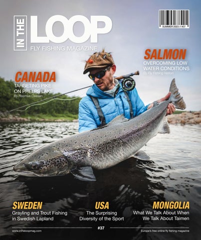 어항 물고기 잡지 추천: 최고의 선택 가이드
(Aquarium fish magazine recommendation: Best selection guide)
