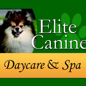 엘리트 애견 미용 전문 케어 서비스
(Elite pet grooming professional care service)