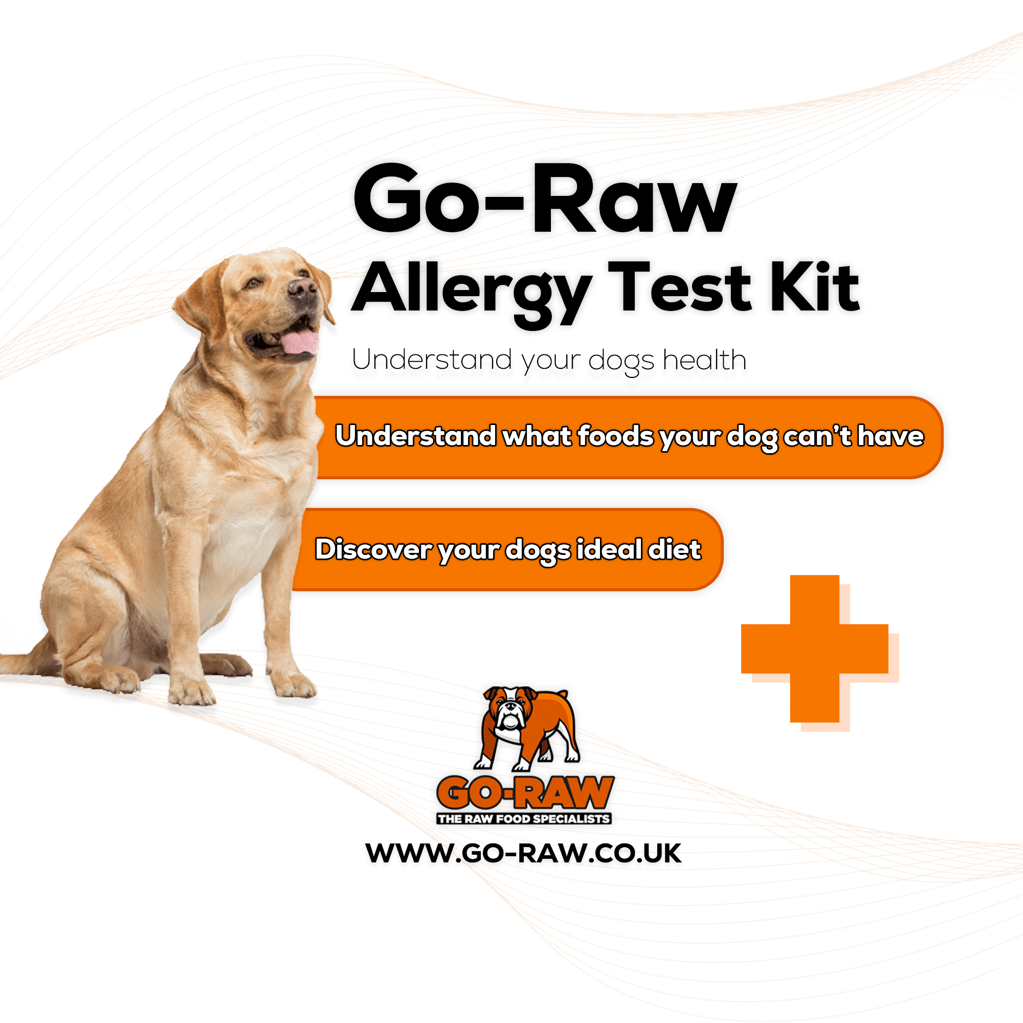 영국 동물 알레르기 검사 (Animal Allergy Testing UK)