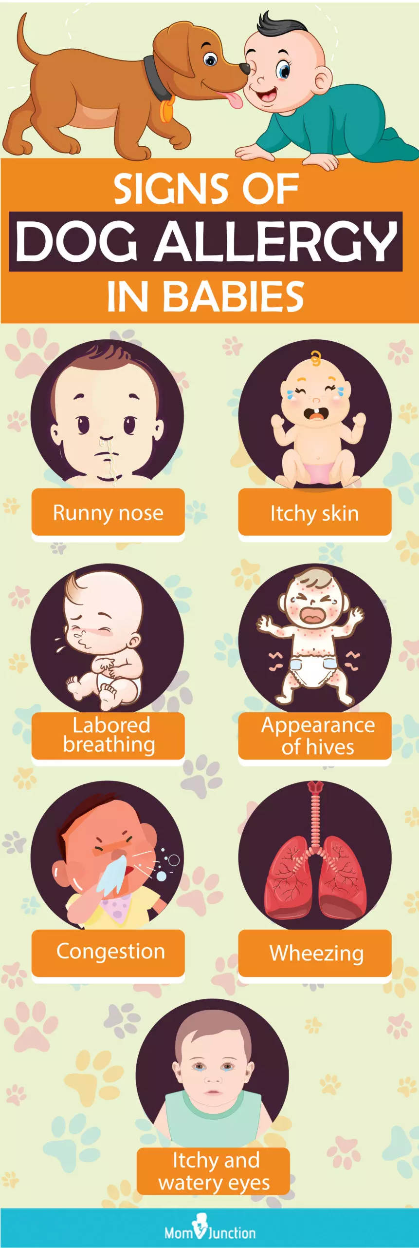 유아 동물 알레르기 증상 확인
(Signs of animal allergies in toddlers check)