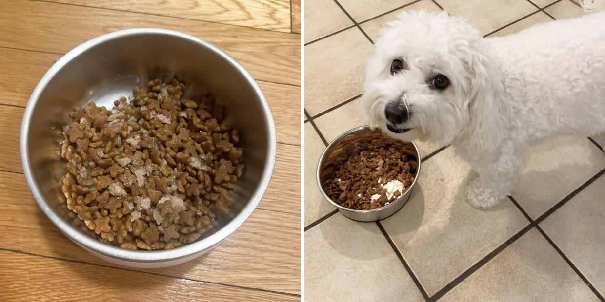 최고의 울트라 도그 푸드 선택 가이드
(Choego-ui ultra dog food seontaeok gaideu)

Translation: Best Ultra Dog Food Selection Guide