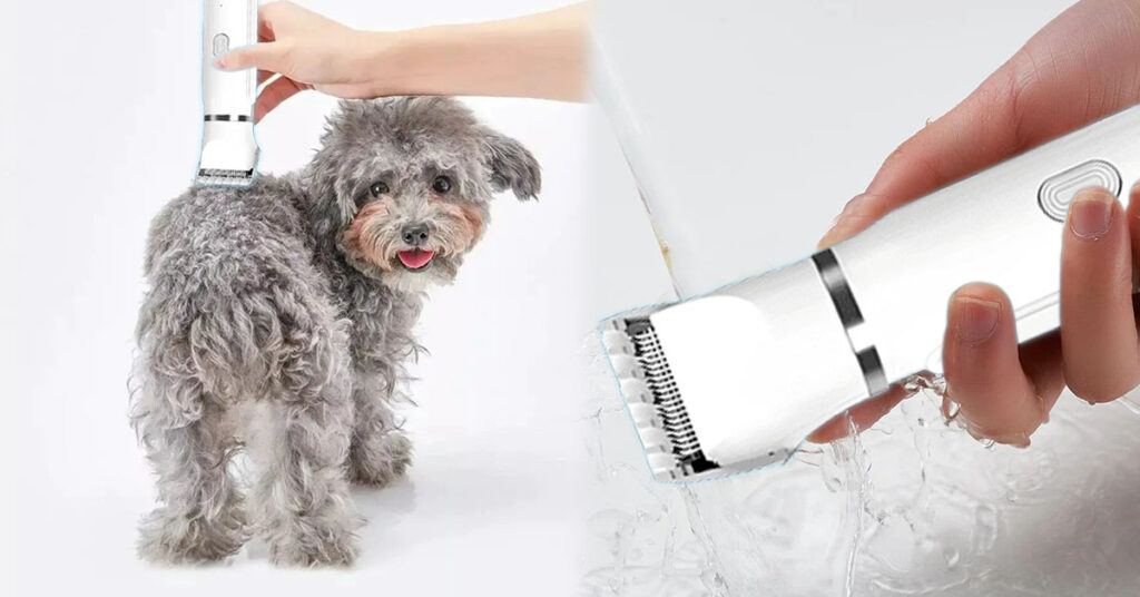 Pawfection Pet Grooming: 완벽한 애견 미용