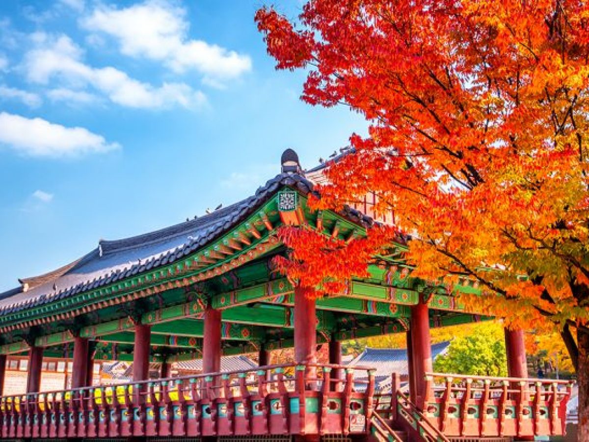10월 한국 여행 최고의 순간들 (Korea travel October best moments)