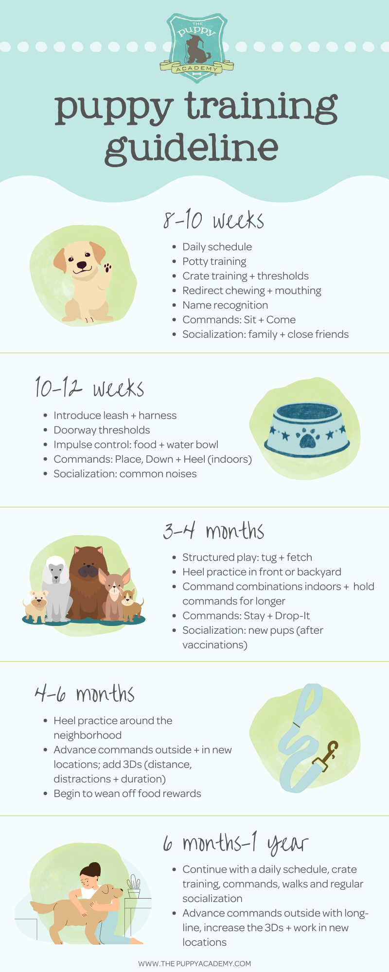 4개월 강아지 훈련 방법 (How to train a puppy at 4 months)