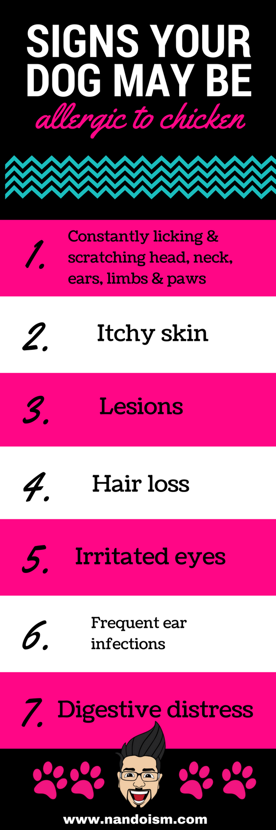 강아지 닭 알레르기 증상과 해결책
(Dog chicken allergy symptoms and solutions)