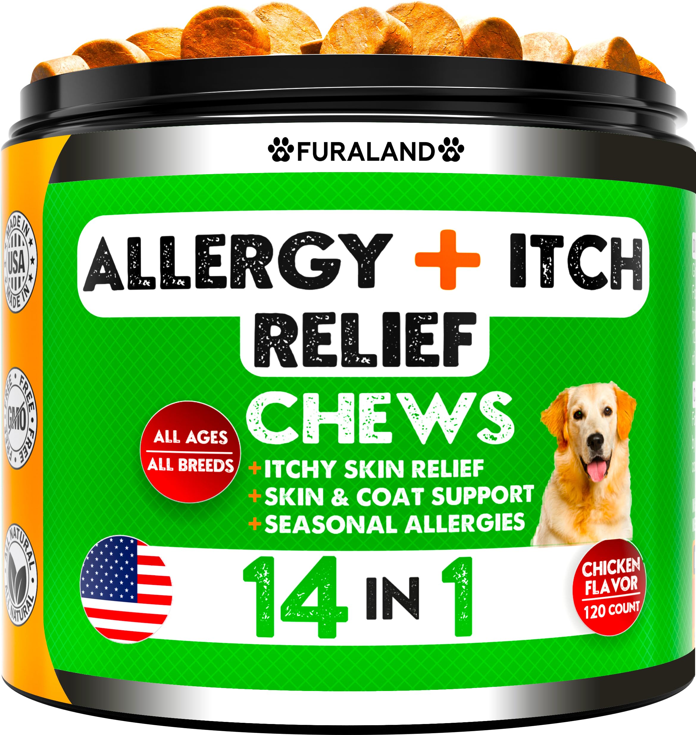 강아지 알레르기 완화 방법 (Dog Allergies Relief)