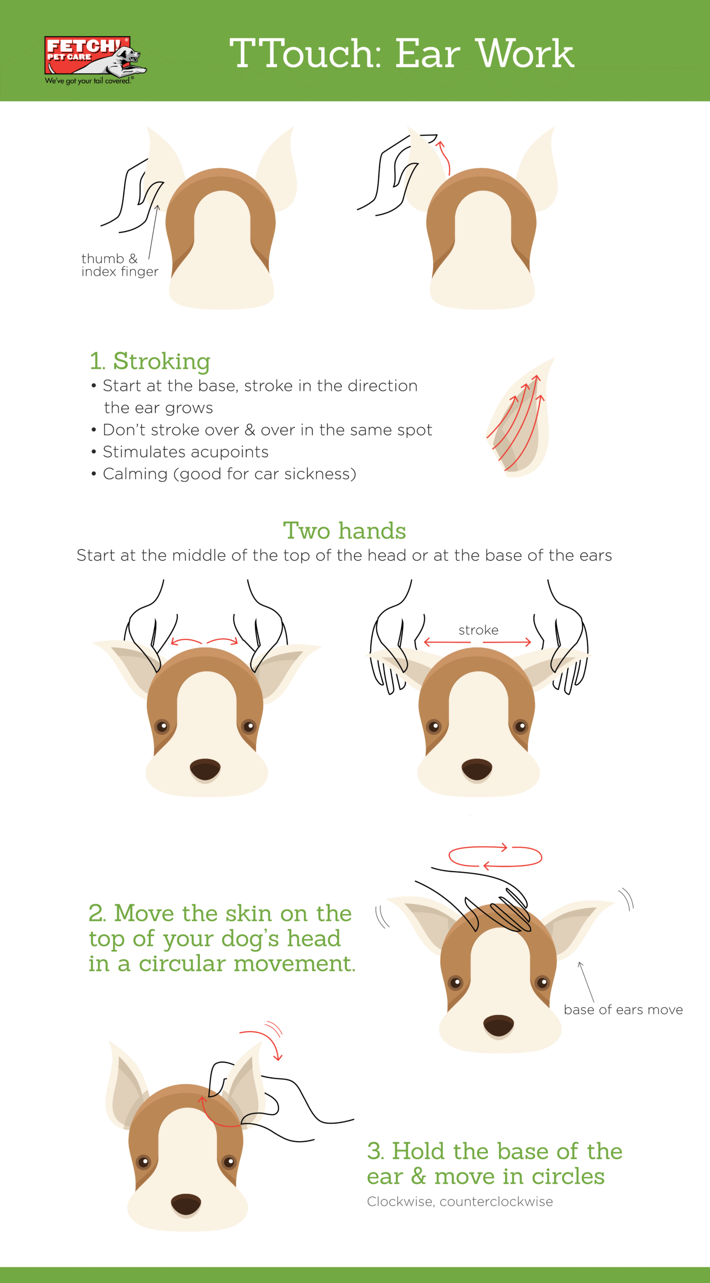 강아지 옴 치료: 효과적인 방법 및 가이드 (Scabies Treatment Dogs)