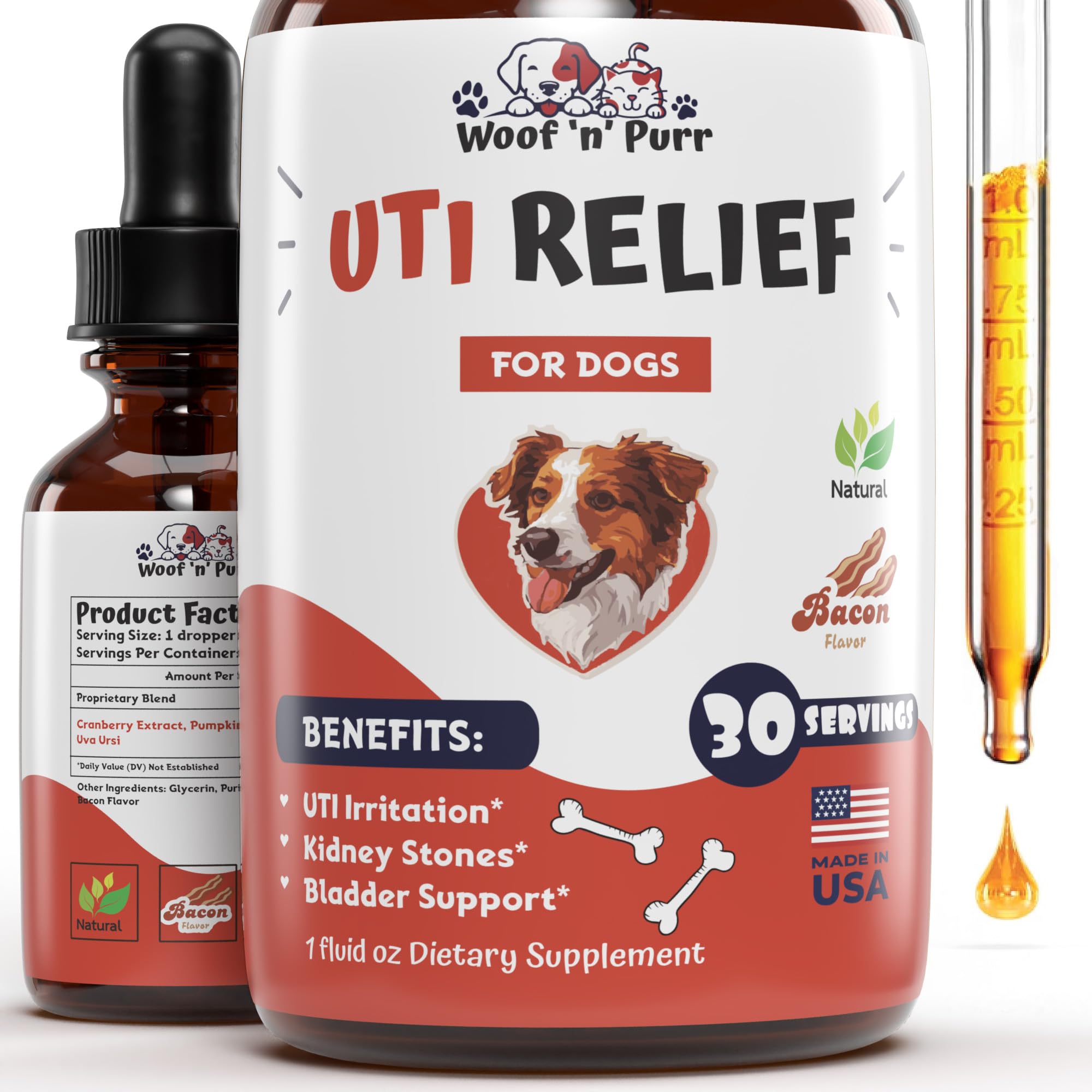 강아지 요로감염 치료 방법 (Urine Infection Treatment Dogs)