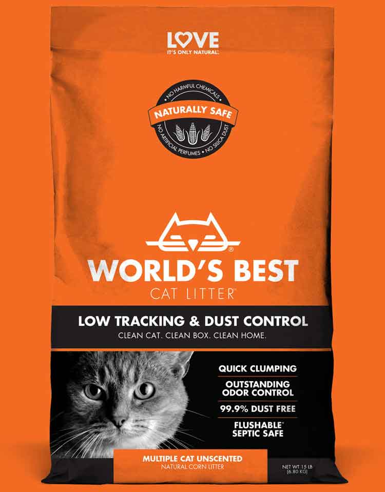 고양이 안전 최고의 저조도 실내 식물
(Best low light houseplants safe for cats)