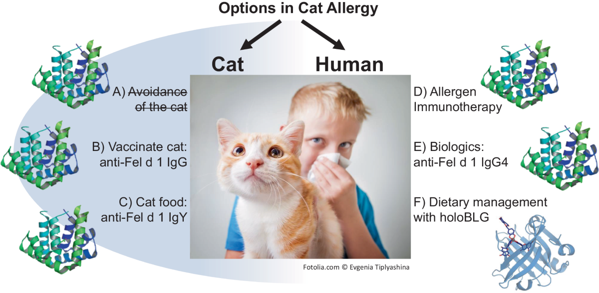 고양이 알레르기 아이 해결 가이드
(Cat allergies kids solution guide)