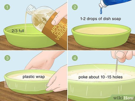 동물 알레르기 없애는 방법 (How to get rid of animal allergies)