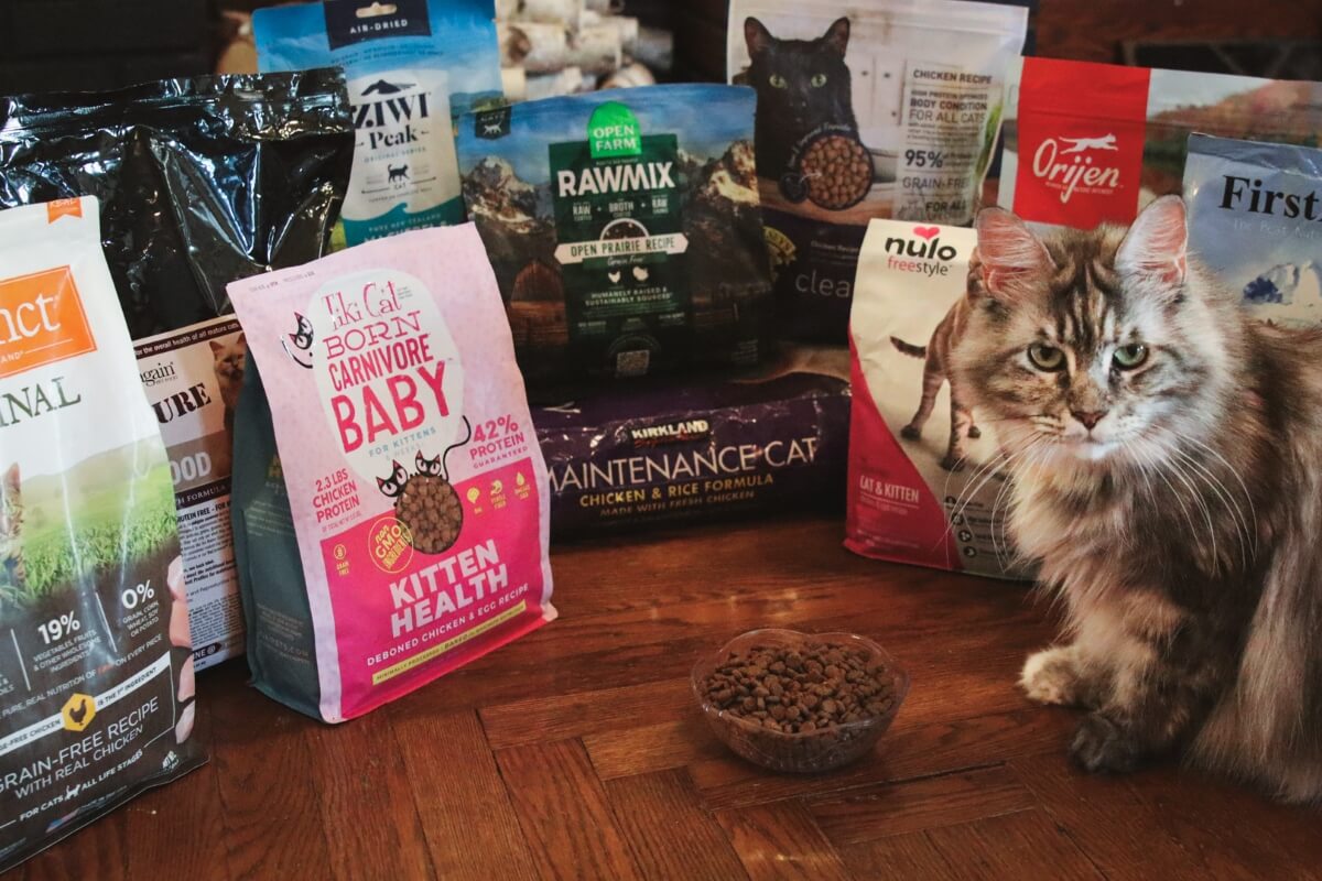 맛있는 고양이 사료 추천 (Yummy Cat Food)