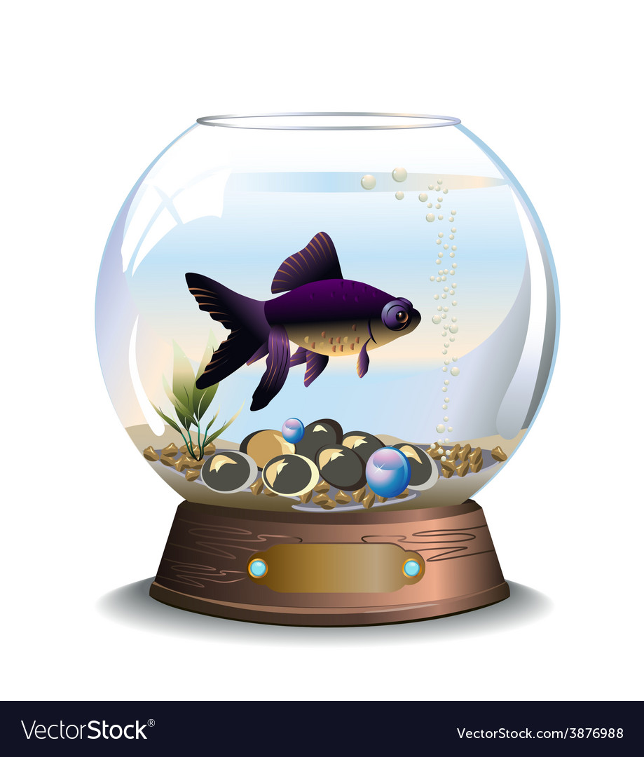 어항 물고기 한 마리 키우기 (Aquarium fish one)