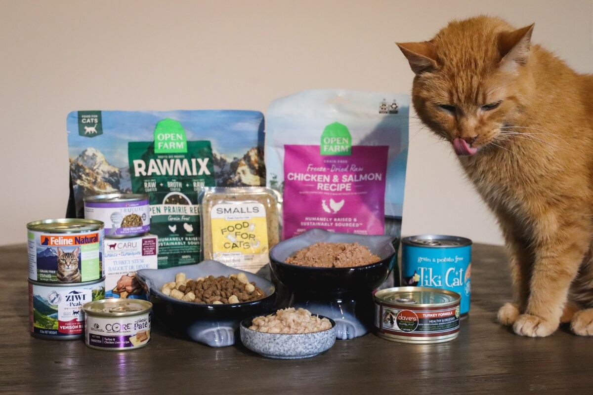 크로거 고양이 사료 최고의 선택
(Keurogeo goyangi saryo choego-ui seontaek)
(Cat food Kroger best choice)