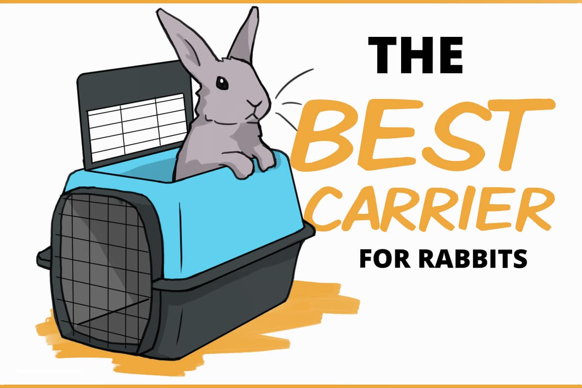 토끼 기차 차장: 최고의 여행 가이드
(Rabbit Train Conductor: The Best Travel Guide)


토끼 기차 차장과 함께하는 기차 여행
(Train Travel with Rabbit Train Conductor)
