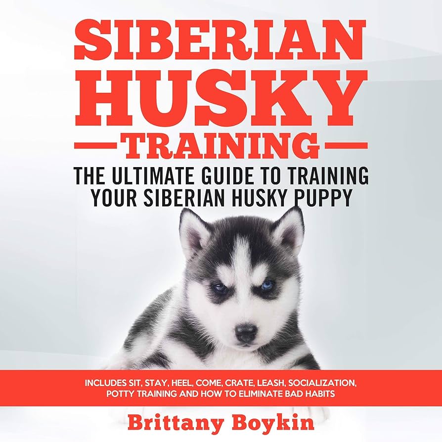 허스키 강아지 훈련 가이드: 효과적인 팁
(Heoseuki gangaji hunlyeon gaideu: hyogwajeokin tip)
(Training a Puppy Husky Guide: Effective Tips)