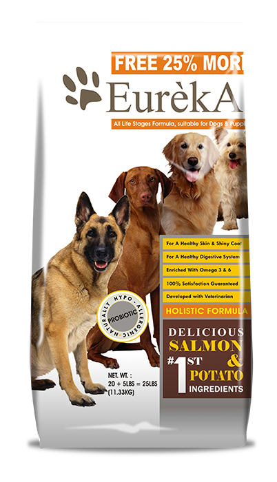 eureka dog food 최고의 강아지 사료 선택