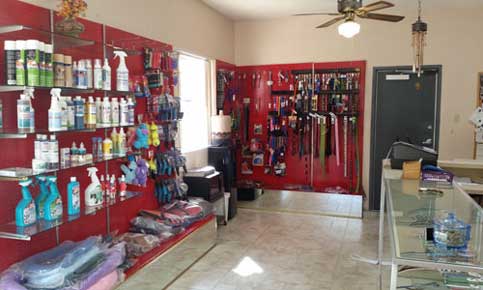 Yvonne’s Pet Grooming Prescott Valley