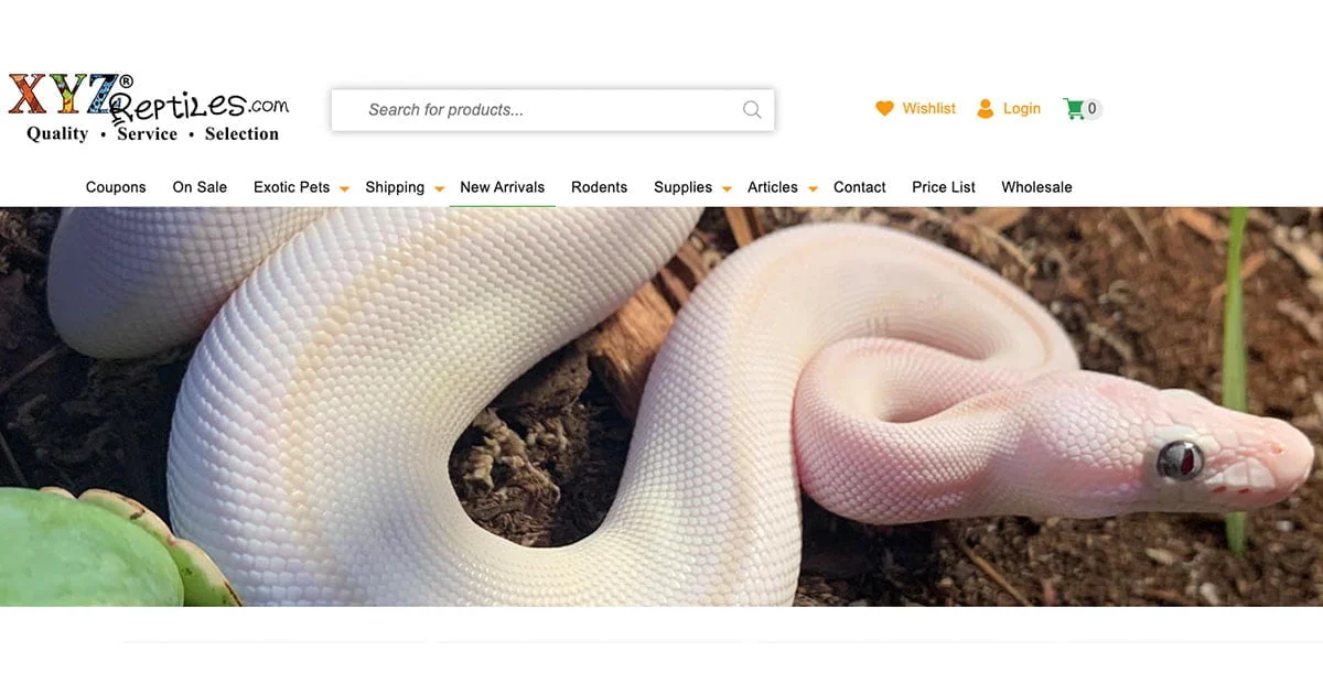 가까운 파충류 애완동물샵 찾기 (Pet and reptile shop near me)