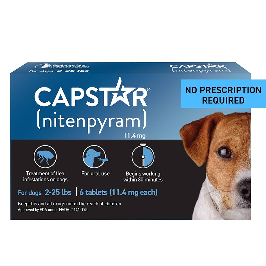 강아지 5성급 벼룩 치료제 (5 star flea treatment for dogs)