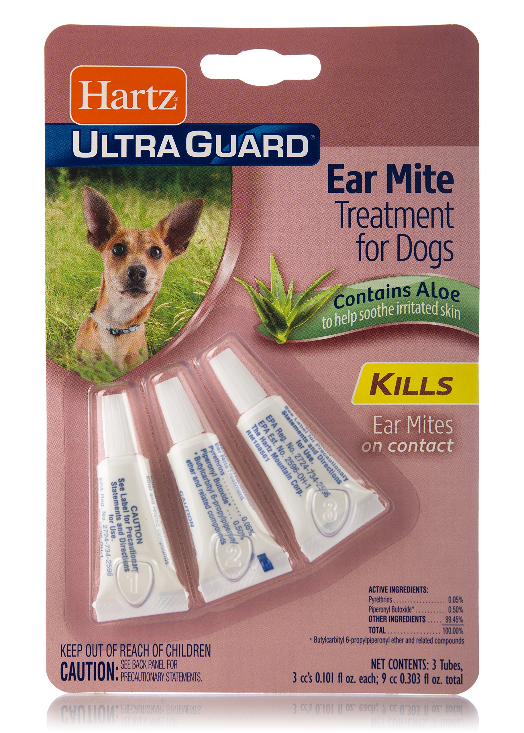강아지 귀 진드기 치료법 (Ear Mite Treatment Dogs)