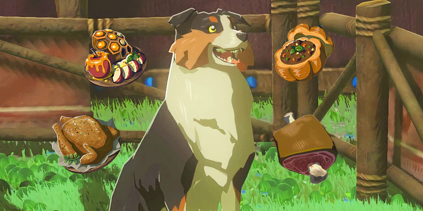 강아지 사료 젤다 최고의 선택
(Dog food Zelda best choice)