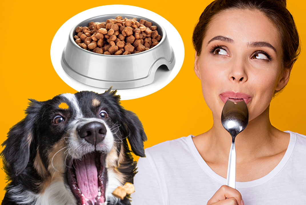 강아지 사료 테스터 되는 법 (Dog Food Tester)