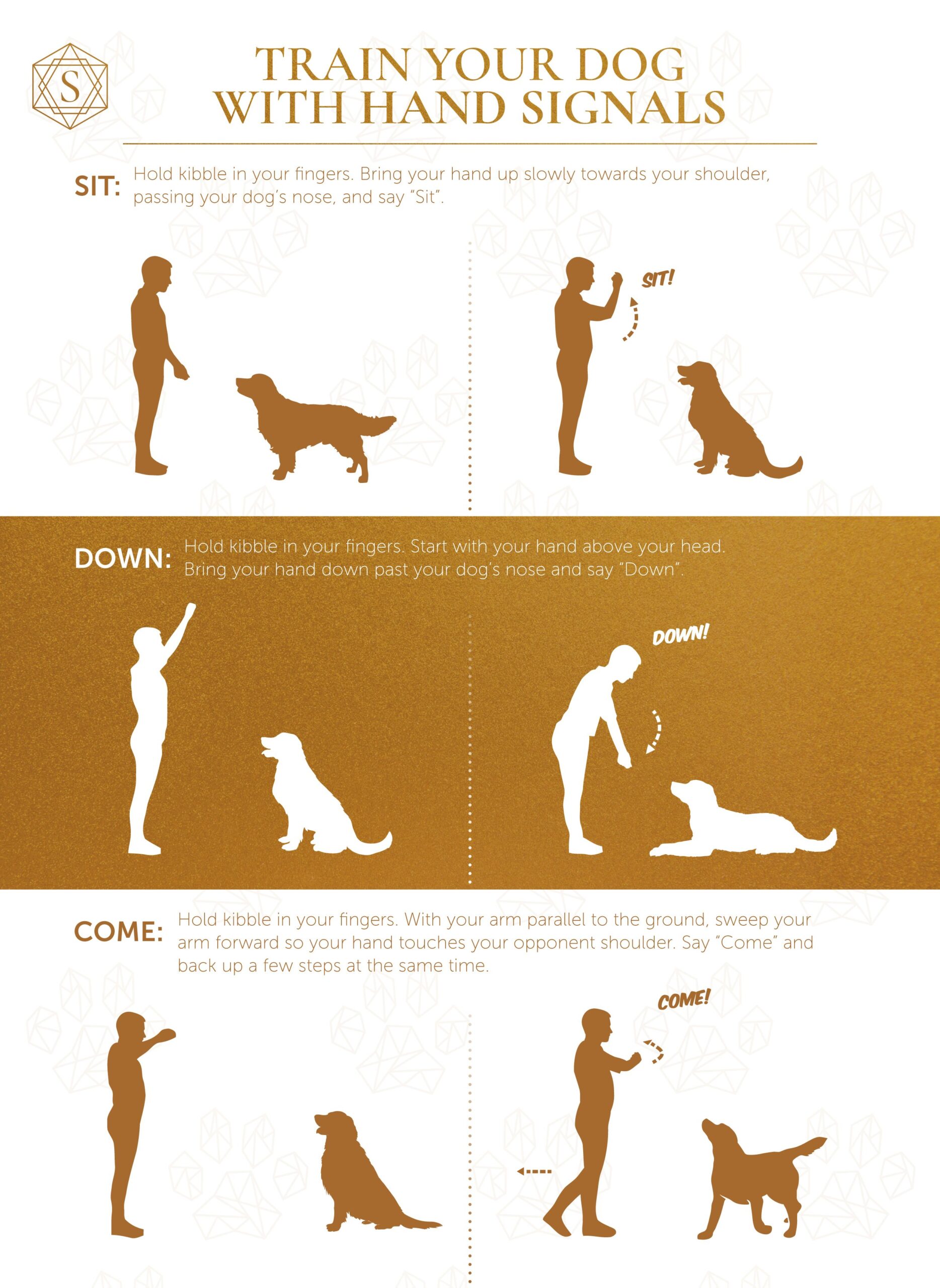 강아지 손짓 훈련: 효과적인 훈련법
(Puppy hand signal training: Effective training method)


I’ve also included a slightly shorter title, as the above one pushes the character limit:

강아지 손짓 훈련법 배우기
(Learning puppy hand signal training methods)