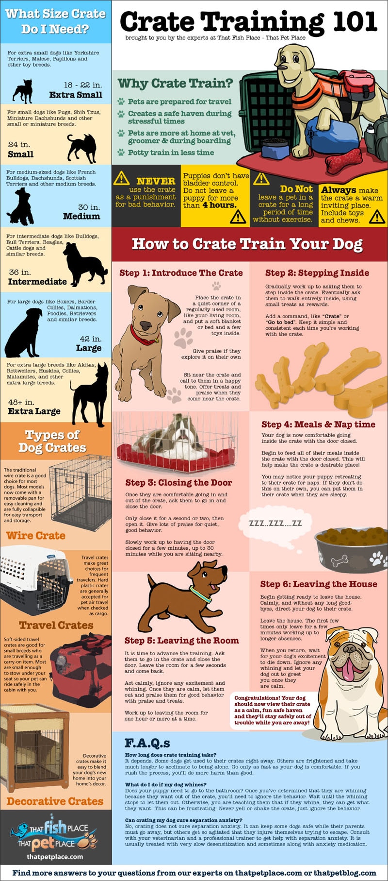 강아지 크레이트 훈련 완벽 가이드 (How to crate train a puppy)