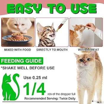 고양이 UTI 건강 위한 사료 선택 가이드 (Cat Food UTI Health)