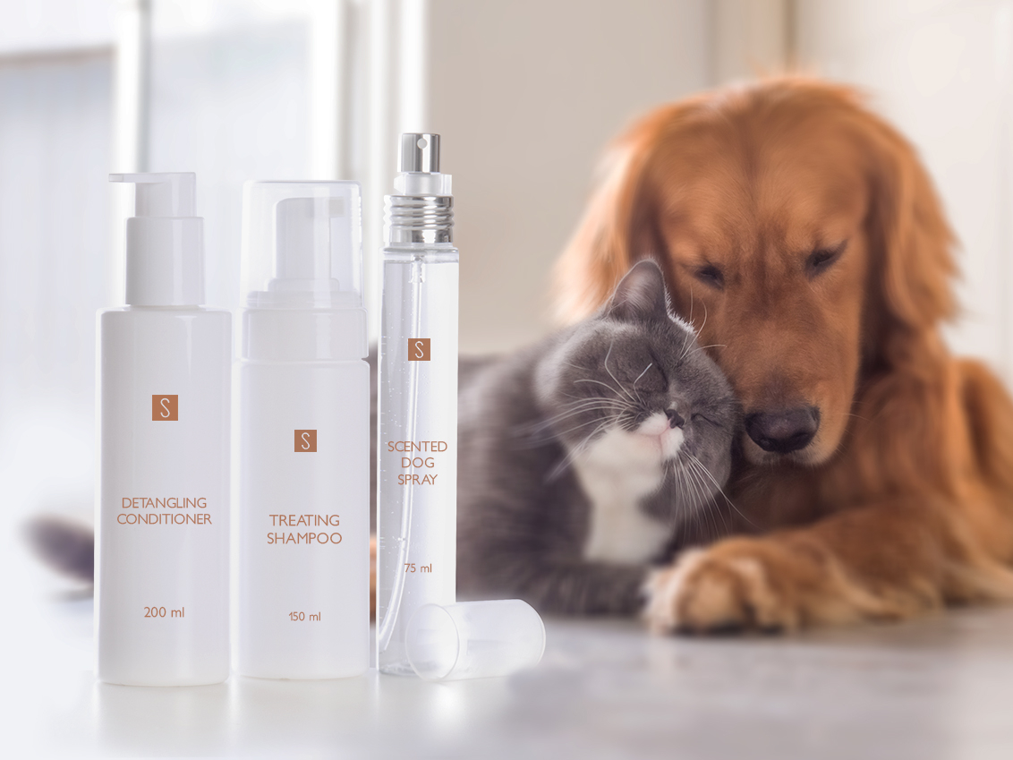 반려동물 미용 자격증 취득 방법
(Companion animal grooming license acquisition method)
