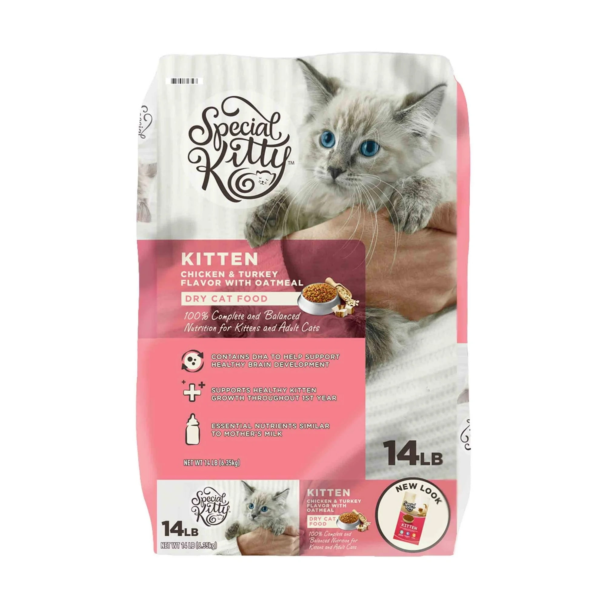 아기 고양이를 위한 최고의 고양이 사료 (Cat food for kittens)