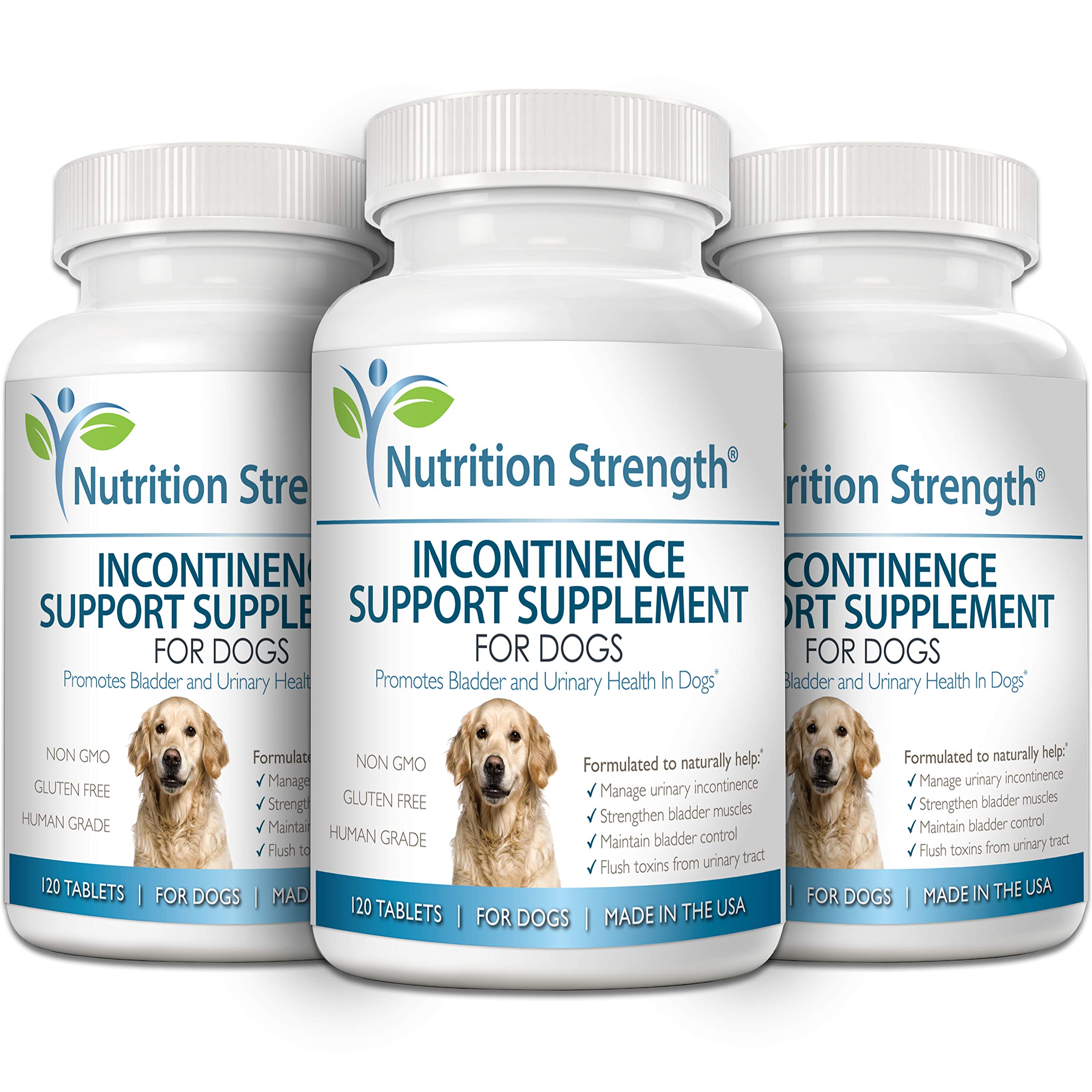 요실금 치료견: 효과적인 도움 (Incontinence treatment dogs: Effective help)