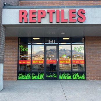 이국적인 파충류 비늘 애완 동물 가게
(Exotic reptile scales pet shop)