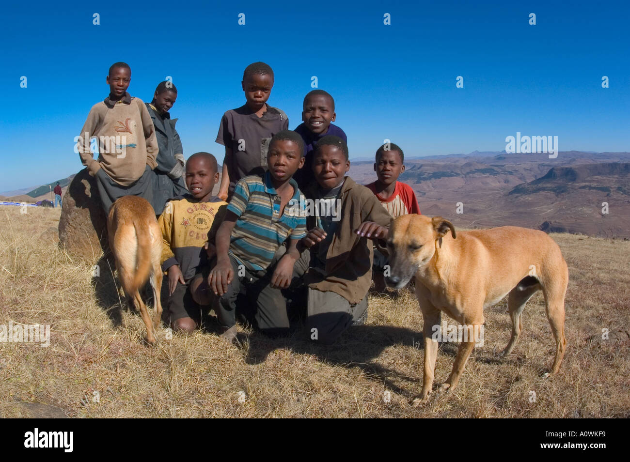 줄루어로 된 개 이름 (Dogs in Zulu)